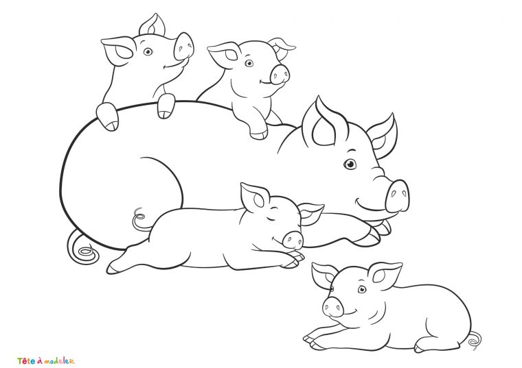 Coloriage Cochon #01 : Un Dessin À Imprimer De Tête À Modeler avec Coloriage Animaux 6 Mois Coloriage Cochon #01 : Un Dessin À Imprimer De Tête À Modeler avec Coloriage Animaux 6 Mois