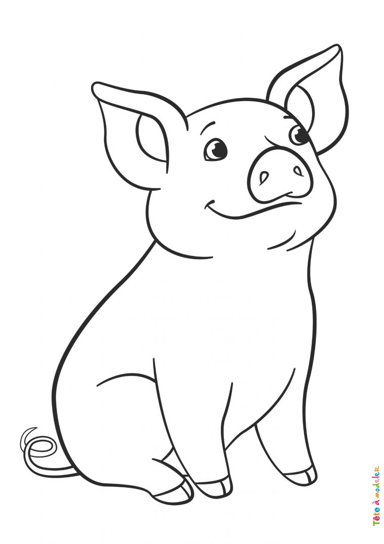 Coloriage Cochon #05 : Un Dessin À Imprimer De Tête À Modeler concernant Coloriage Animaux 6 Mois Coloriage Cochon #05 : Un Dessin À Imprimer De Tête À Modeler concernant Coloriage Animaux 6 Mois