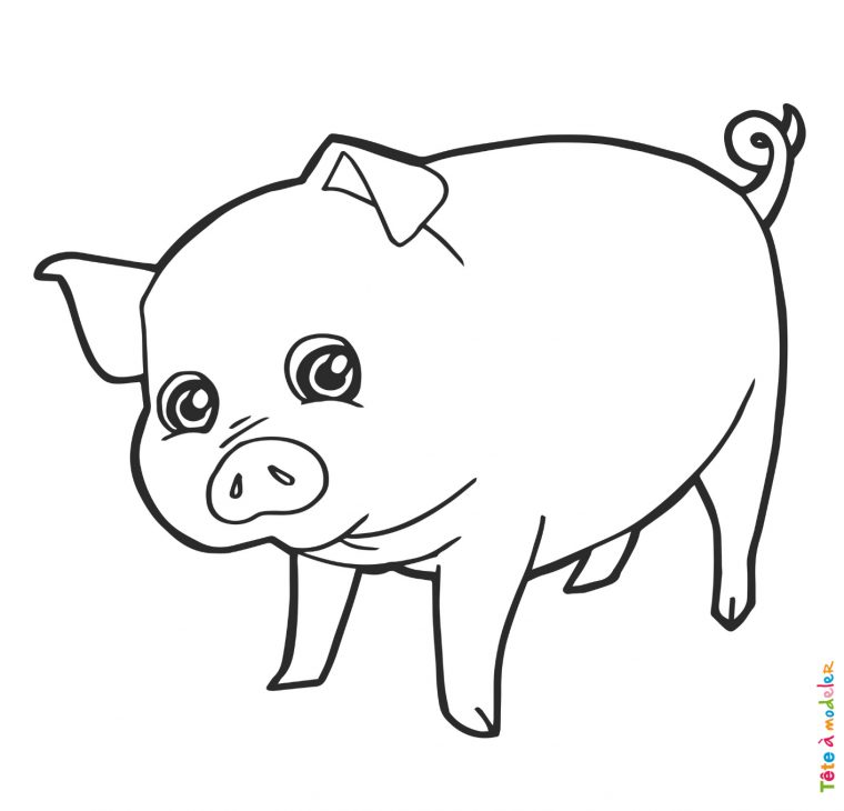 Coloriage Cochon #09 : Un Dessin À Imprimer De Tête À Modeler tout Coloriage Animaux 6 Mois Coloriage Cochon #09 : Un Dessin À Imprimer De Tête À Modeler tout Coloriage Animaux 6 Mois