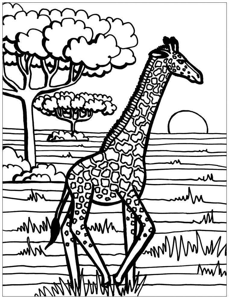 Coloriage De Girafe – Girafes – Coloriages Difficiles Pour Adultes serapportantà Coloriage 0 Imprimer Animaux
