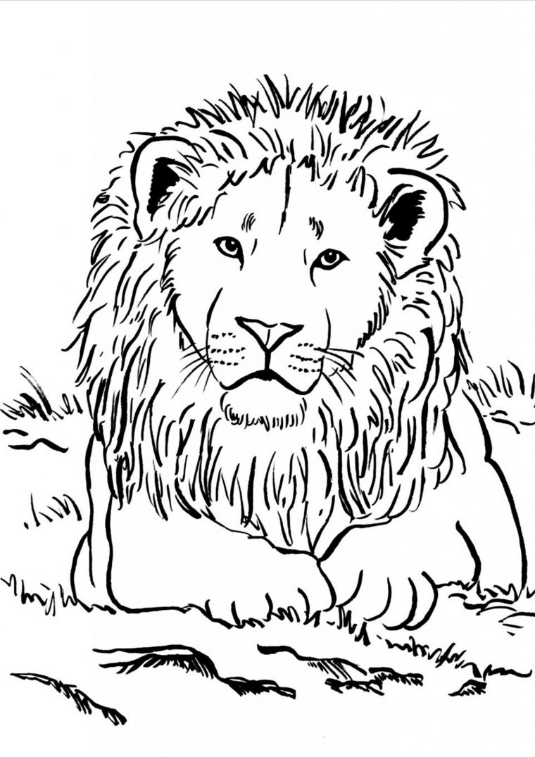 Coloriage De Lion À Imprimer Gratuitement | Moncoloriage.fr encequiconcerne Coloriage Animaux Ëtre