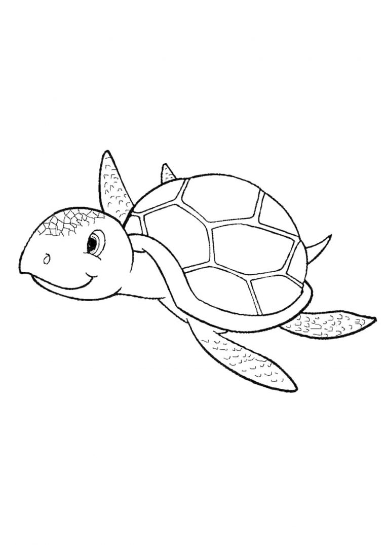 Coloriage De Tortue À Imprimer Gratuitement | Moncoloriage.fr destiné Coloriage Animaux Être Coloriage De Tortue À Imprimer Gratuitement | Moncoloriage.fr destiné Coloriage Animaux Être