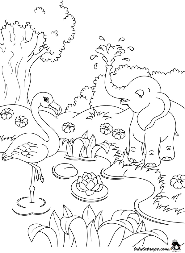 Coloriage, Des Animaux Au Bord De L'Eau – Lulu La Taupe, Jeux Gratuits destiné Coloriage Animaux 6 Ans
