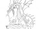 Coloriage Dragon Disney Dessin Dragon À Imprimer dedans Dragon Coloriage Magique
