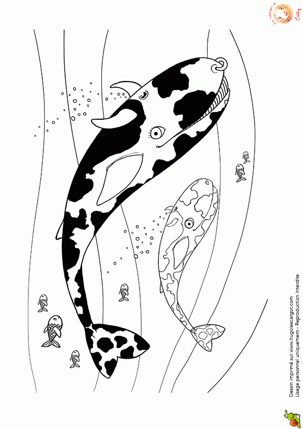 Coloriage D'Un Animal À Moitié Bœuf Et Baleine tout Coloriage Animaux 7 Mer