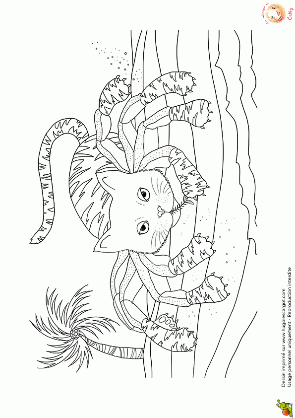 Coloriage D'Un Animal À Moitié Chat Et Crabe serapportantà Coloriage Animaux 7 Mer