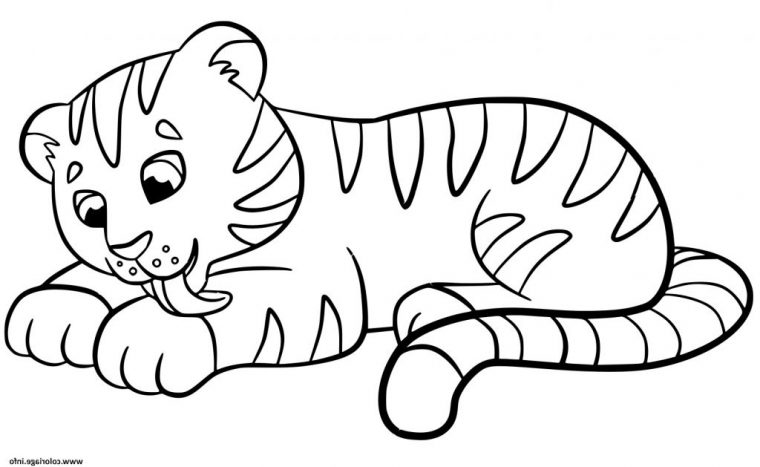Coloriage Enfants À Imprimer Beau Photos Coloriage Tigre Bebe Pour serapportantà Dessin A Colorier Facile Tigre Coloriage Enfants À Imprimer Beau Photos Coloriage Tigre Bebe Pour serapportantà Dessin A Colorier Facile Tigre