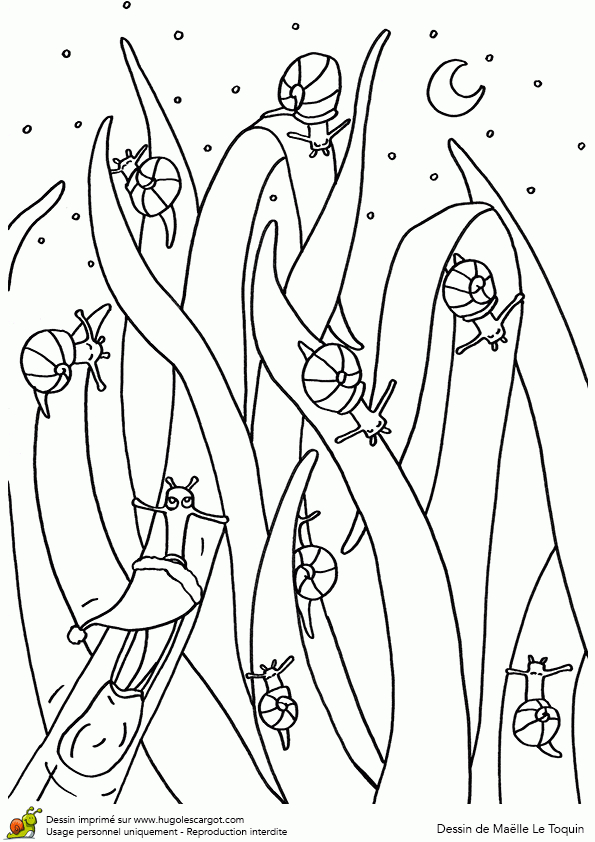 Coloriage Escargots Sur Hugolescargot serapportantà Hugo L'Escargot Escargot Coloriage Escargots Sur Hugolescargot serapportantà Hugo L'Escargot Escargot