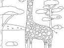 Coloriage Girafe | Coloriage Girafe, Coloriage, Coloriage Animaux avec Coloriage Animaux Girafe