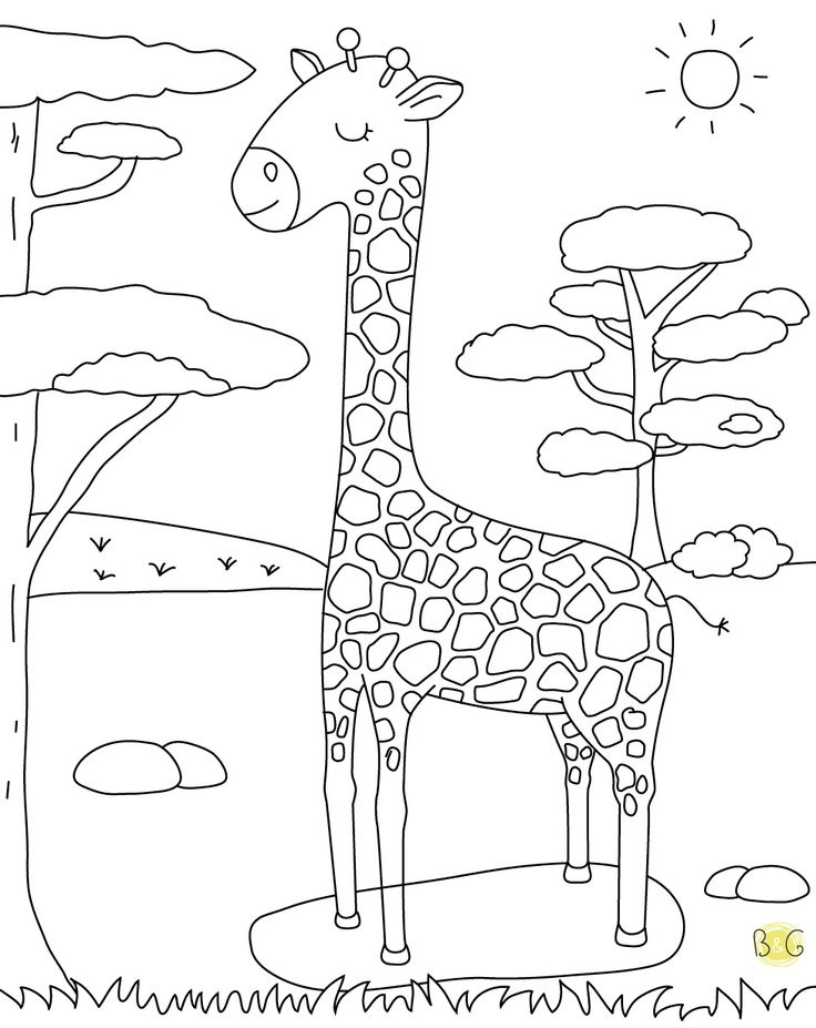 Coloriage Girafe | Coloriage Girafe, Coloriage, Coloriage Animaux avec Coloriage Animaux Girafe