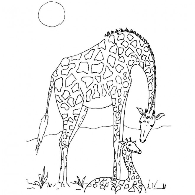 Coloriage Girafe D'Afrique Dessin Gratuit À Imprimer dedans Coloriage Animaux Gratuit Maternelle