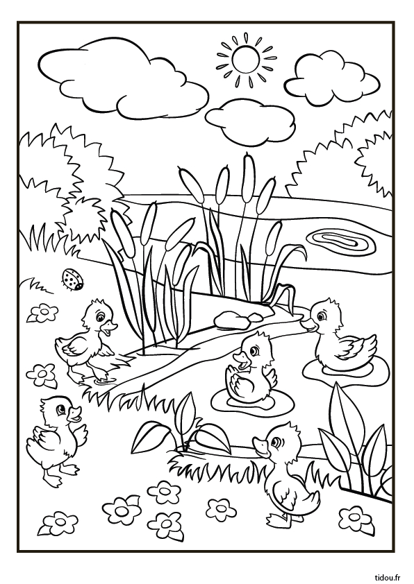 Coloriage Gratuit, Les Canetons – Tidou.fr avec Coloriage Maternelle Pdf 7 À Imprimer