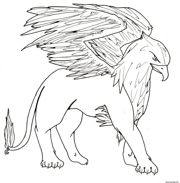 Coloriage Griffon Prestigieux Et Grand Dessin Griffon À Imprimer concernant Grand Coloriage Animaux