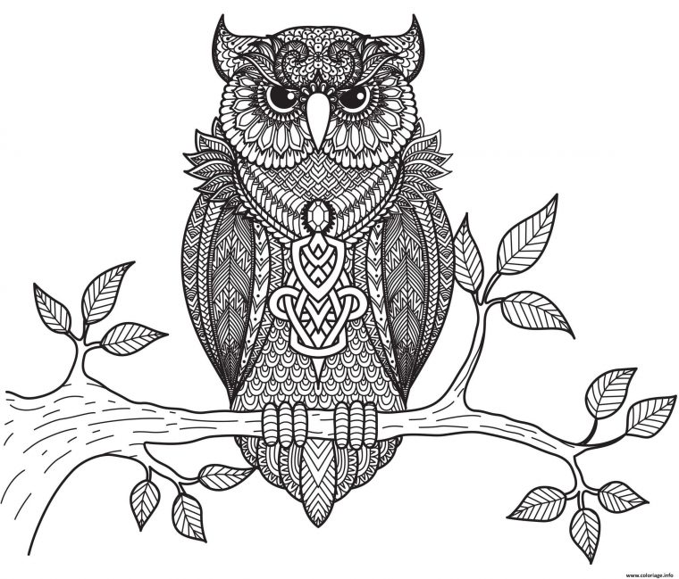 Coloriage Hibou Animaux Adulte Anti Stress Par Bimbimkha Dessin Adulte intérieur Coloriage Animaux 10 Ans
