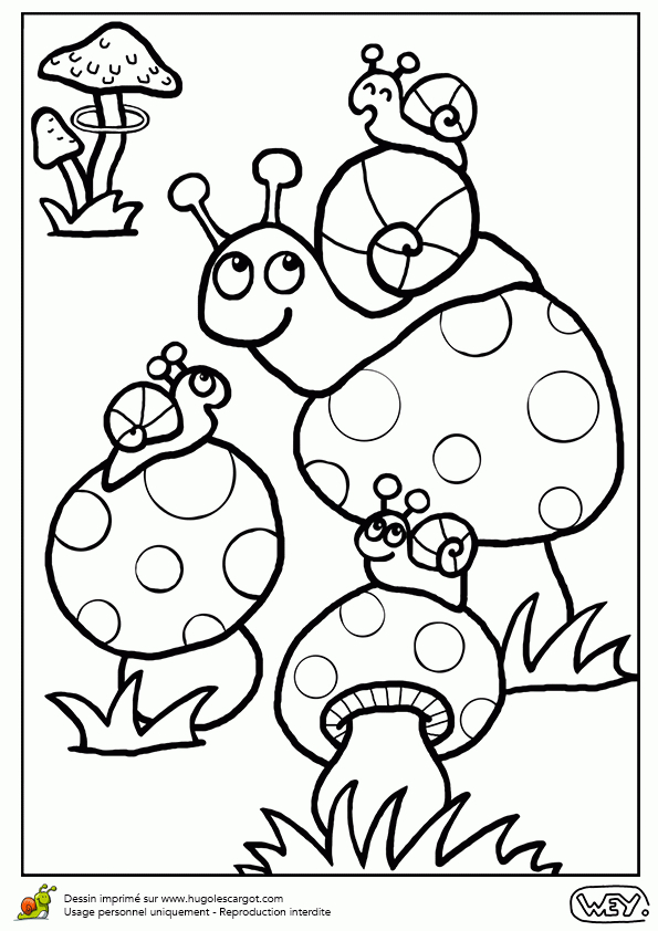 Coloriage Hugo L Escargot Animaux – Meilleures Idées De Décoration Pour concernant Hugo L'Escargot 8 Ans Coloriage Hugo L Escargot Animaux – Meilleures Idées De Décoration Pour concernant Hugo L'Escargot 8 Ans
