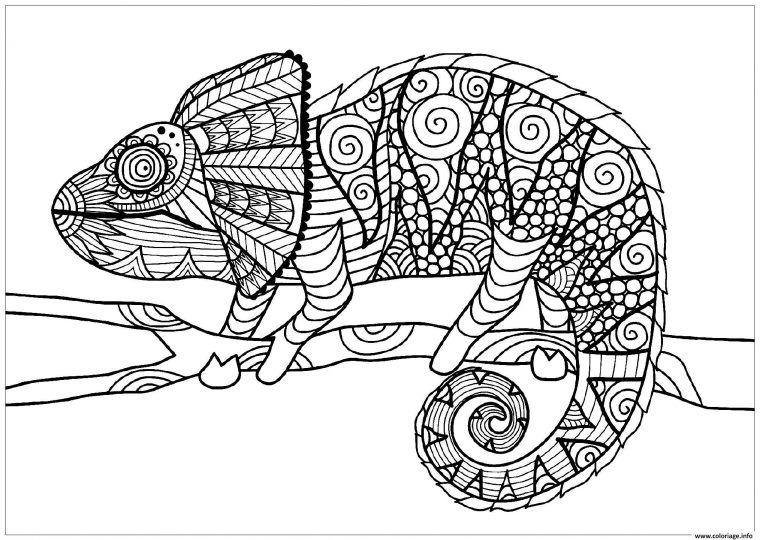 Coloriage Jungle Cameleon Sur Une Branche Dessin Animaux De La Jungle À destiné Coloriage Animaux Gratuit Maternelle Coloriage Jungle Cameleon Sur Une Branche Dessin Animaux De La Jungle À destiné Coloriage Animaux Gratuit Maternelle