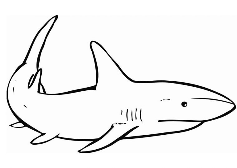 Coloriage Le Requin – Coloriages Gratuits À Imprimer – Dessin 12837 dedans Dessin De Requin A Colorier Et A Imprimer
