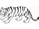Coloriage Le Tigre - Coloriages Gratuits À Imprimer - Dessin 12849 tout Dessin A Colorier Facile Tigre