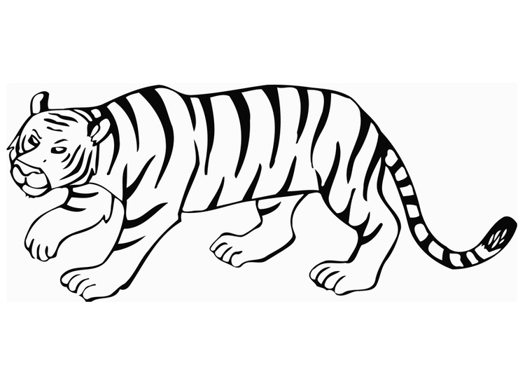 Coloriage Le Tigre – Coloriages Gratuits À Imprimer – Dessin 12849 tout Dessin A Colorier Facile Tigre