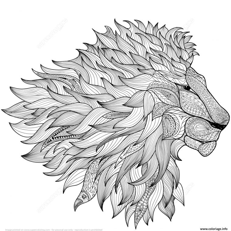 Coloriage Lion Zentangle Adulte Dessin Zentangle À Imprimer pour Coloriage Mandala Lion À Imprimer