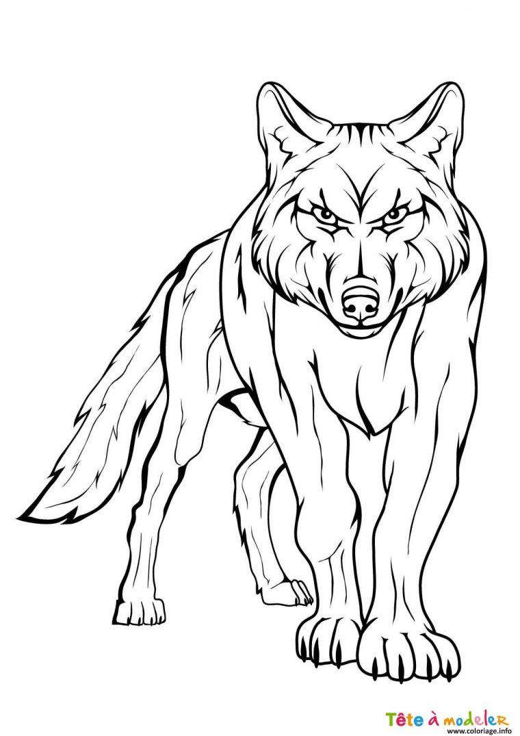 Coloriage Loup Apercoit Une Proie Dessin Loup À Imprimer dedans Grand Coloriage Animaux