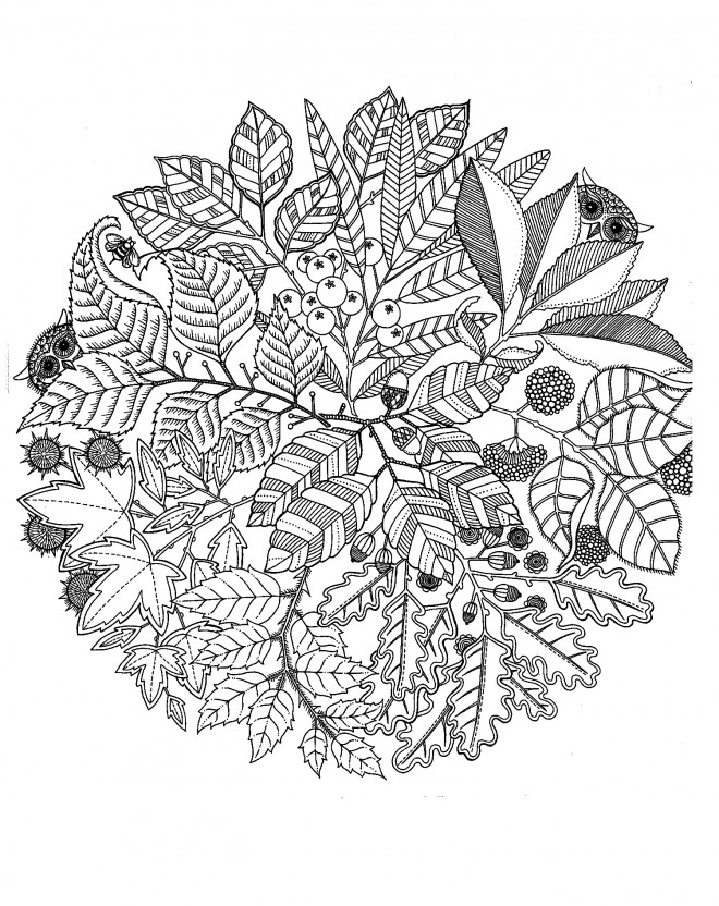 Coloriage Mandala Fleurs Et Plantes Dessin Gratuit À Imprimer tout Coloriage Mandala Jardin Coloriage Mandala Fleurs Et Plantes Dessin Gratuit À Imprimer tout Coloriage Mandala Jardin