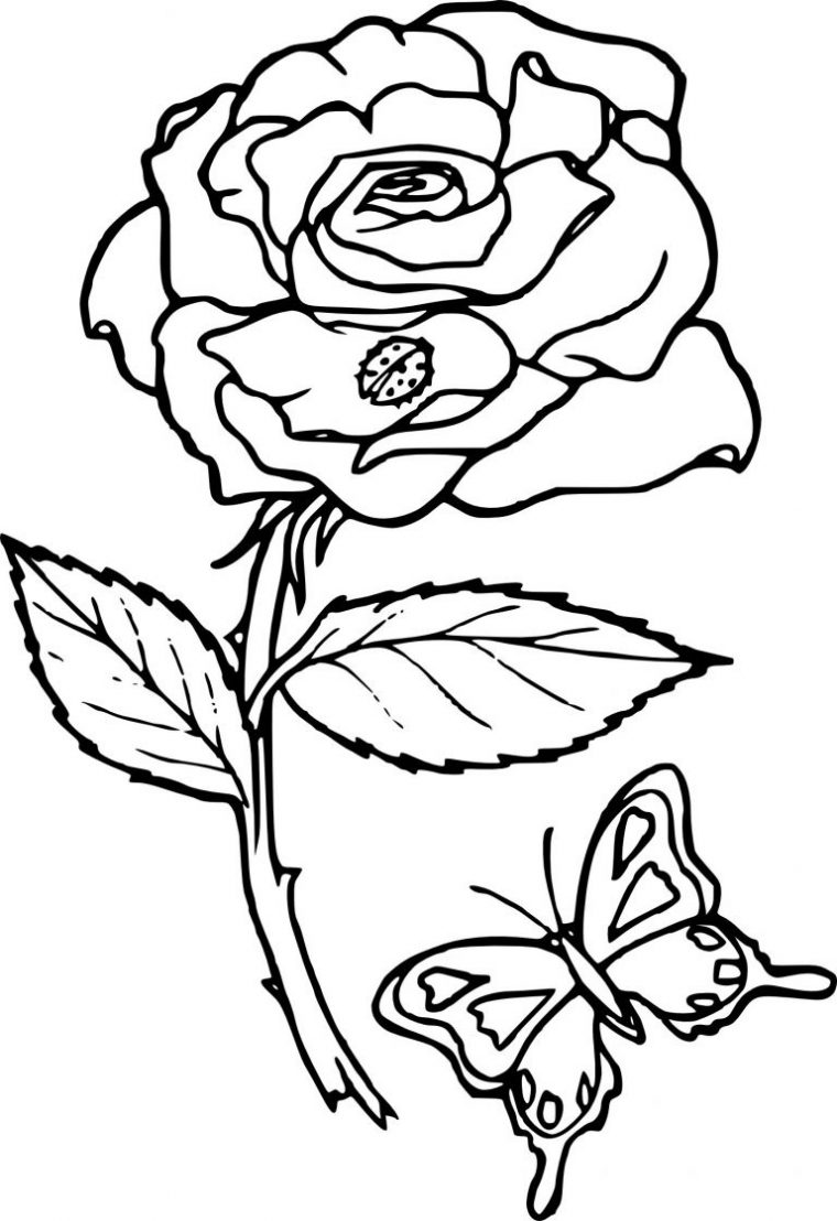 Coloriage Mandala Rose Inspirant Images Coloriage Rose Fleur À Imprimer pour Dessin A Colorier Facile Rose Coloriage Mandala Rose Inspirant Images Coloriage Rose Fleur À Imprimer pour Dessin A Colorier Facile Rose