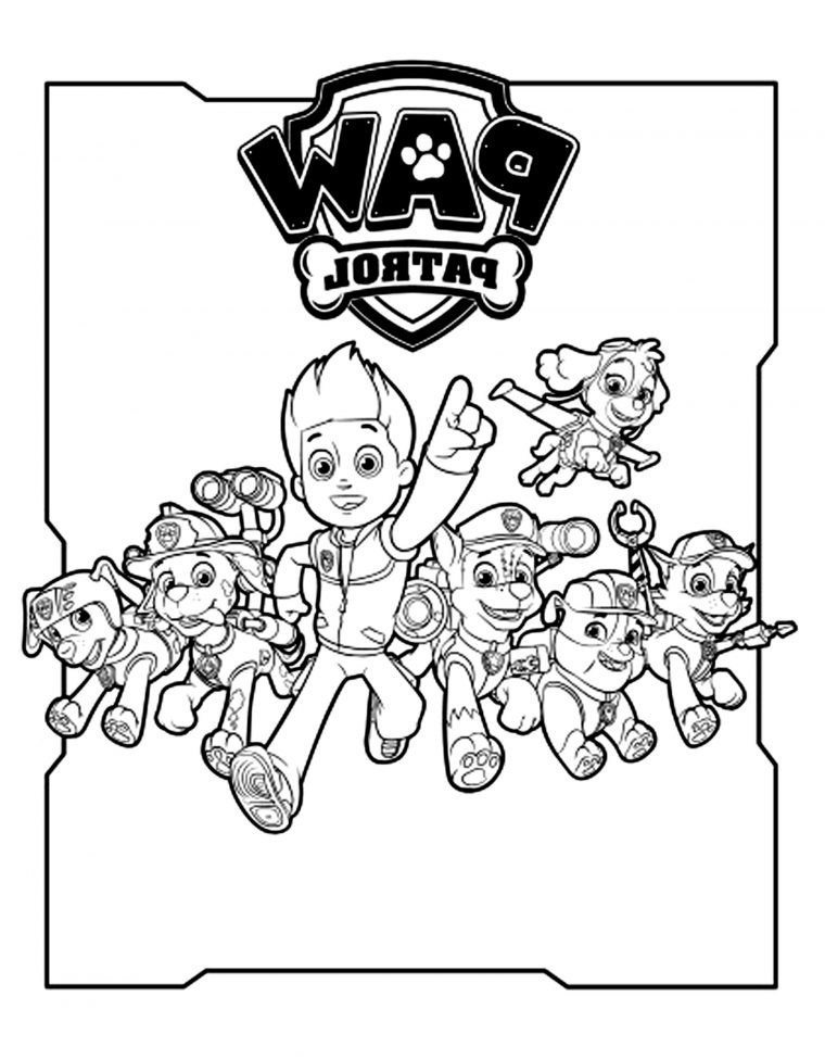 Coloriage Marcus Pat Patrouille Cool Images Pat Patrouille Dessins serapportantà Dessin De La Pat Patrouille Colorier