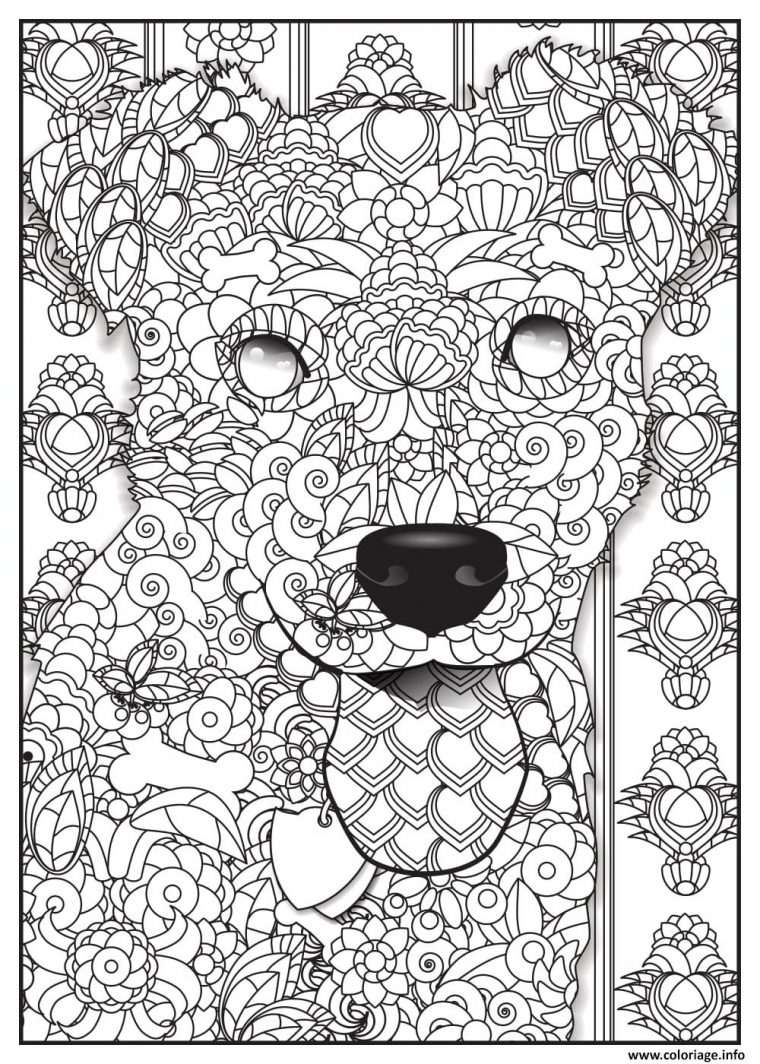 Coloriage Numerote En Ligne Adulte concernant Coloriage Magique Difficile