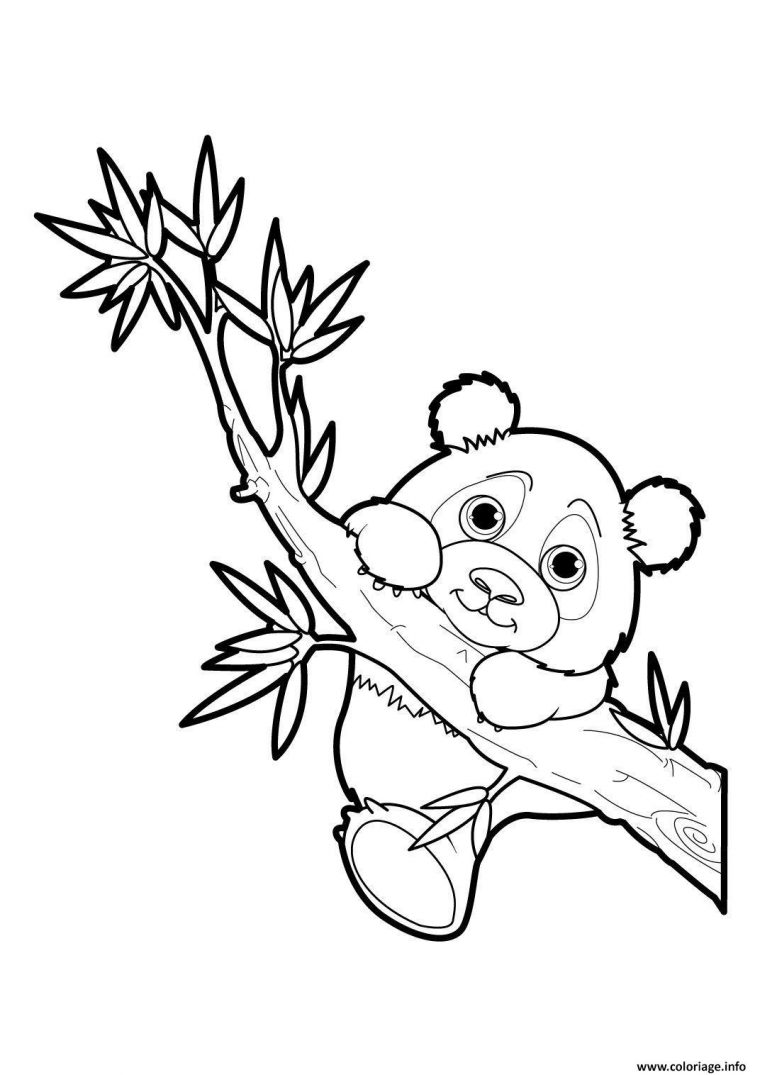 Coloriage Panda 17 Dessin Gulli À Imprimer destiné Coloriage Animaux À Dessiner