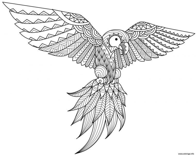 Coloriage Perroquet Mandala Par Bimdeedee Dessin Perroquet À Imprimer avec Coloriage Animaux Gratuit Maternelle Coloriage Perroquet Mandala Par Bimdeedee Dessin Perroquet À Imprimer avec Coloriage Animaux Gratuit Maternelle