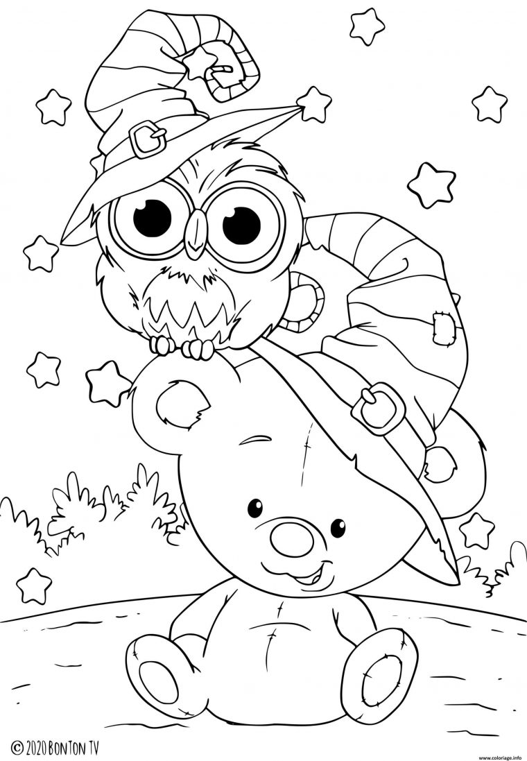 Coloriage Petit Nounours Pour Halloween Avec Un Hibou Dessin Halloween destiné Coloriage Animaux 10 Ans