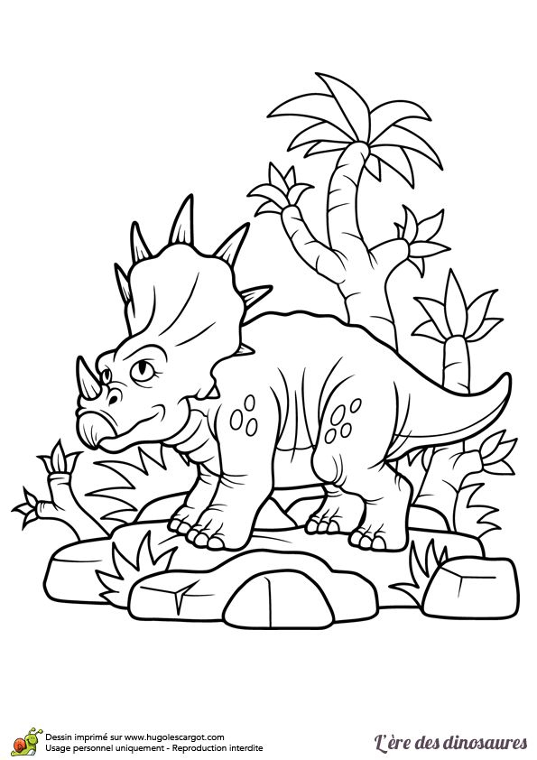Coloriage Petit Triceratops | Coloriage Dinosaure, Coloriage Garçon avec Dinosaure Coloriage Magique À Imprimer