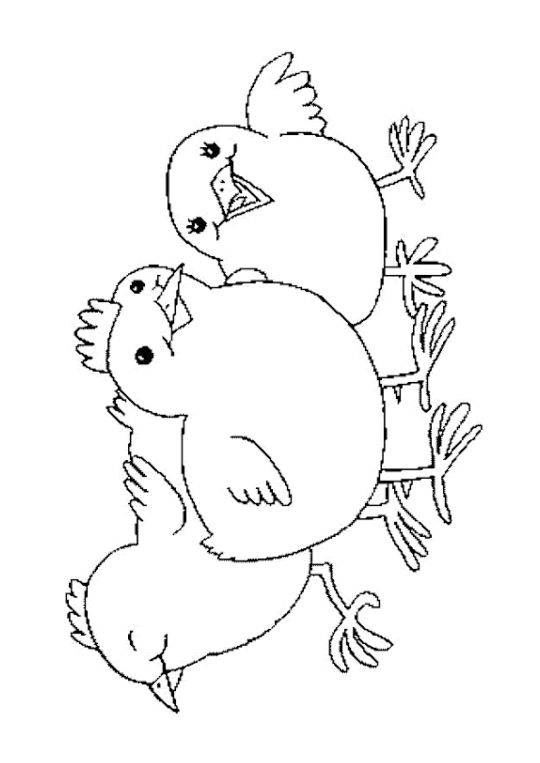 Coloriage Poussins | Coloriage Poussin, Coloriage, Coloriage Animaux De pour Hugo L'Escargot 7 Couleurs