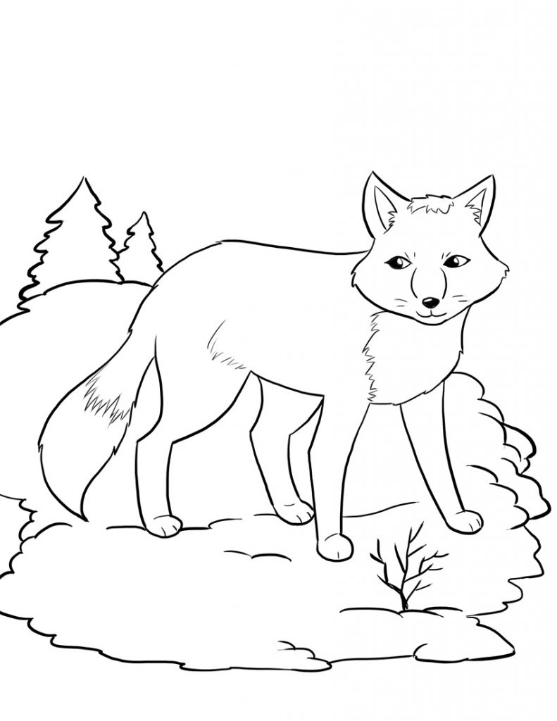 Coloriage Renard À Imprimer Gratuit Pour Les Enfants Gratuit À Imprimer à Dessin A Colorier Et A Imprimer Renard