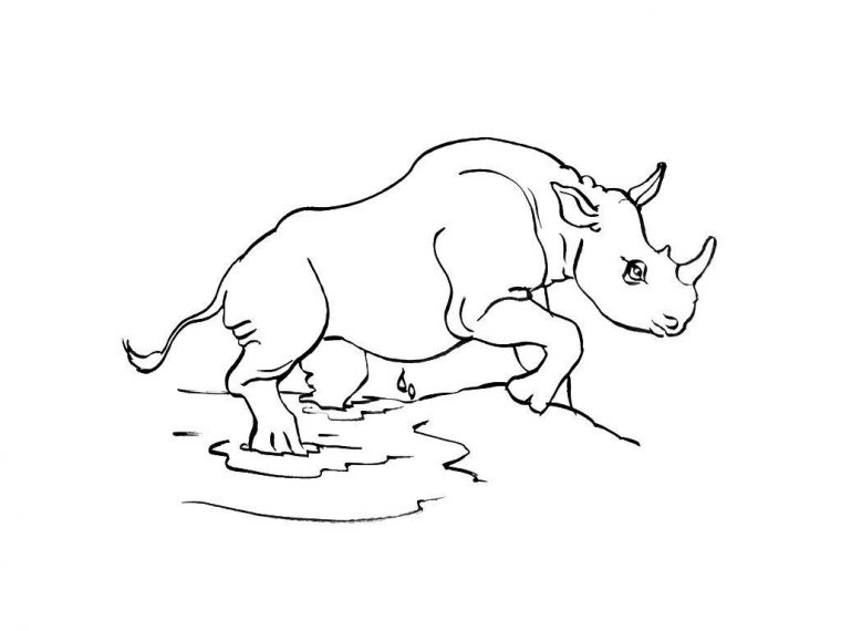 Coloriage Rhinocéros 8 – Coloriage Rhinoceros – Coloriages Animaux concernant Coloriage Animaux 8 Ans