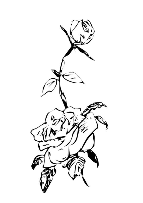 Coloriage Roses Au Crayon Magnifique Dessin Gratuit À Imprimer serapportantà Dessin A Colorier Facile Rose Coloriage Roses Au Crayon Magnifique Dessin Gratuit À Imprimer serapportantà Dessin A Colorier Facile Rose