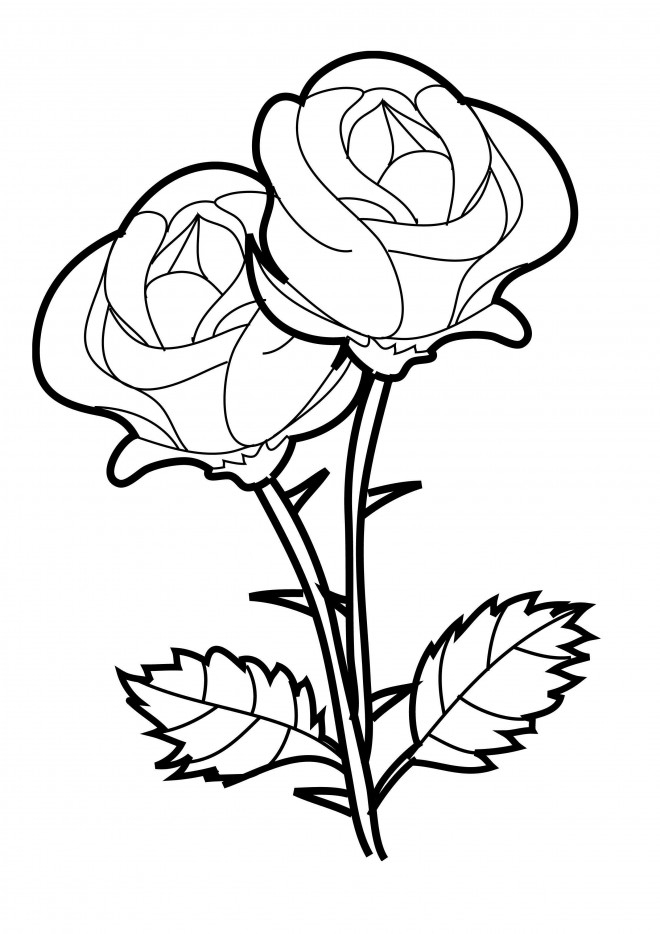 Coloriage Roses Vecteur Dessin Gratuit À Imprimer intérieur Dessin A Colorier Facile Rose Coloriage Roses Vecteur Dessin Gratuit À Imprimer intérieur Dessin A Colorier Facile Rose