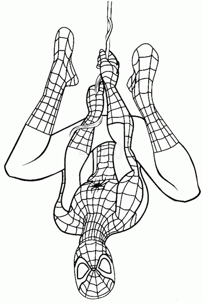 Coloriage Spiderman Gratuits À Imprimer (Coloriages, Dessins Et Pdf tout Dessin Spiderman Facile A Colorier