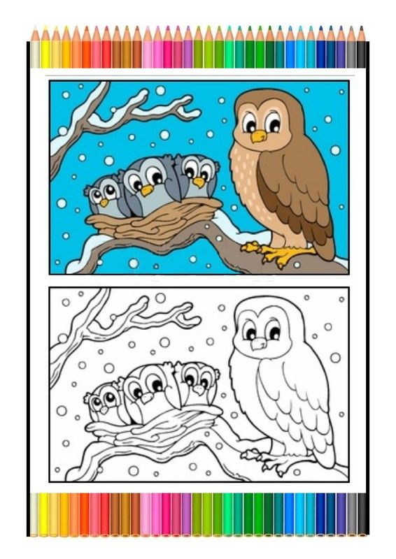 Coloriage Symétrique – Famille Chouettes à Coloriage Animaux 7 Mois