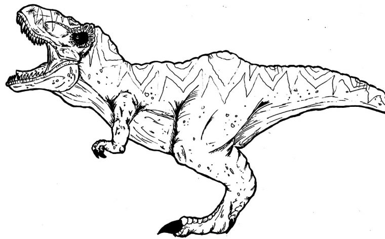 Coloriage T-Rex À Imprimer – Maison Bonte : Votre Guide & Magazine pour Dessin A Colorier Facile T Rex