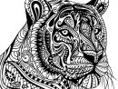 Coloriage Tigre Adulte Mandala De Profil Dessin Tigre À Imprimer destiné Coloriage Mandala Loup À Imprimer