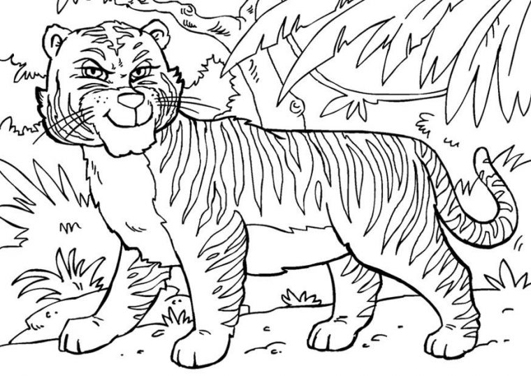 Coloriage Tigre – Coloriages Gratuits À Imprimer – Dessin 27869 destiné Dessin De Tigre A Colorier Et A Imprimer