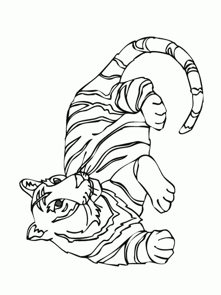 Coloriage Tigre Lion – Coloriage Ideas tout Dessiin A Imprimer Footballeur Et Cage