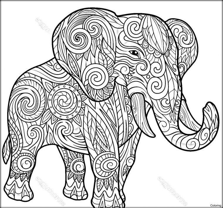 Coloriage Tigre Mandala: Coloriage Mandala Animaux Elephant dedans Coloriage Mandala Jungle A Imprimer