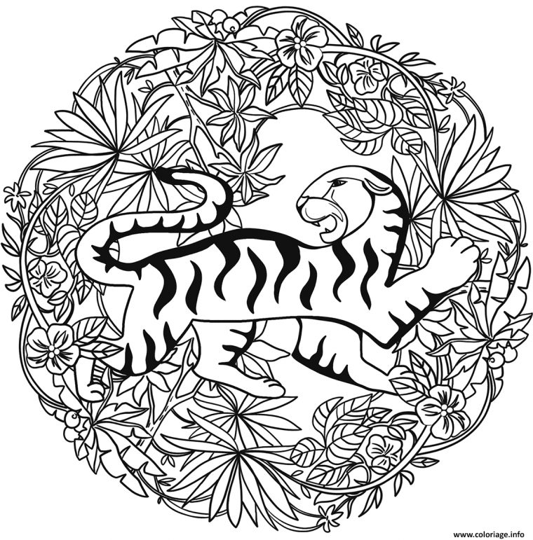 Coloriage Tigre Mandala Par Lesya Adamchuk Dessin Mandala Animaux À encequiconcerne Dessin A Colorier Facile Tigre