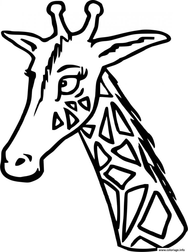 Coloriage Une Tete De Girafe Avec Son Cou Dessin Girafe À Imprimer à Coloriage Animaux Gratuit Maternelle Coloriage Une Tete De Girafe Avec Son Cou Dessin Girafe À Imprimer à Coloriage Animaux Gratuit Maternelle