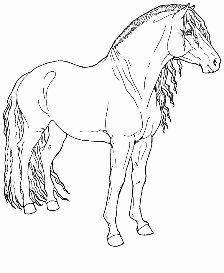 Coloriages À Imprimer : Cheval, Numéro : 223Ff2Db tout Coloriage Animaux Domestiques À Imprimer Gratuit Coloriages À Imprimer : Cheval, Numéro : 223Ff2Db tout Coloriage Animaux Domestiques À Imprimer Gratuit