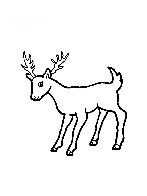 Coloriages Animaux concernant Coloriage Animaux Ëtre Coloriages Animaux concernant Coloriage Animaux Ëtre