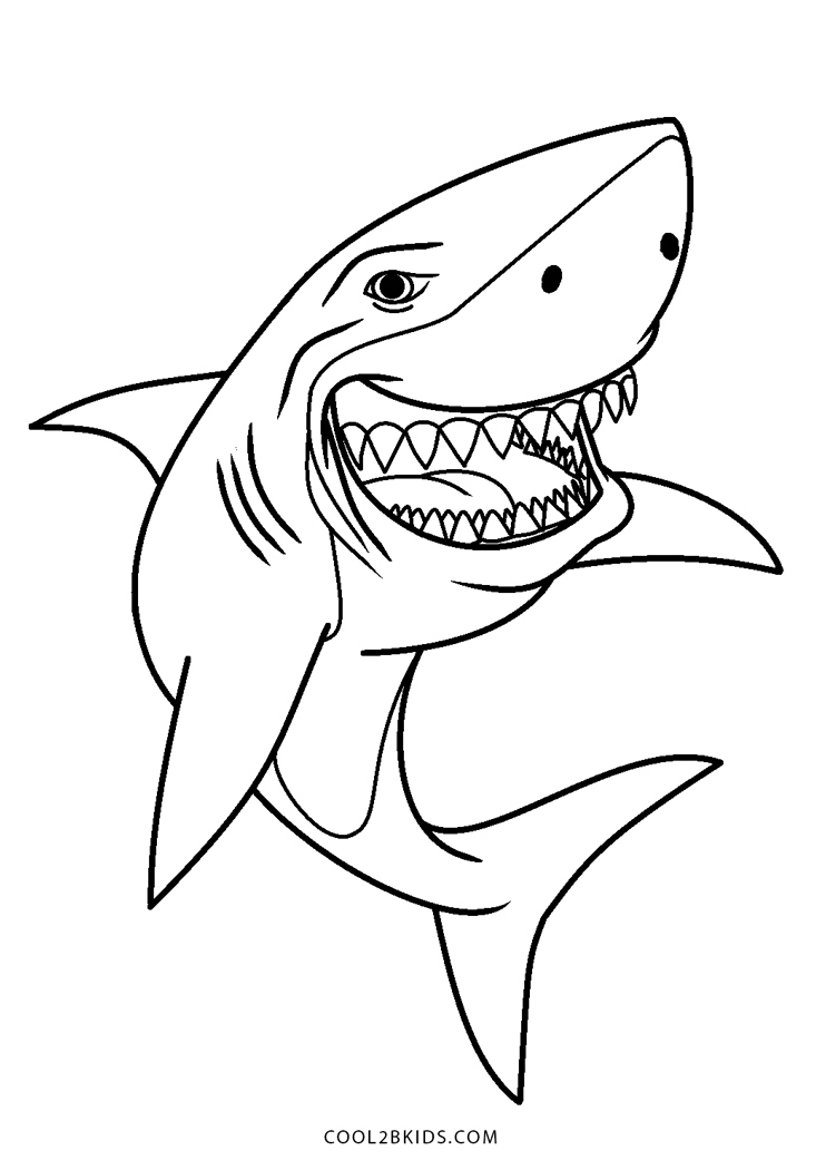 Coloriages – Requin – Coloriages Gratuits À Imprimer concernant Dessin De Requin A Colorier Et A Imprimer